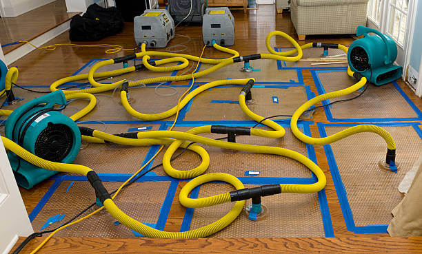 Professional Water Damage Repair technician working in West Middletown, PA